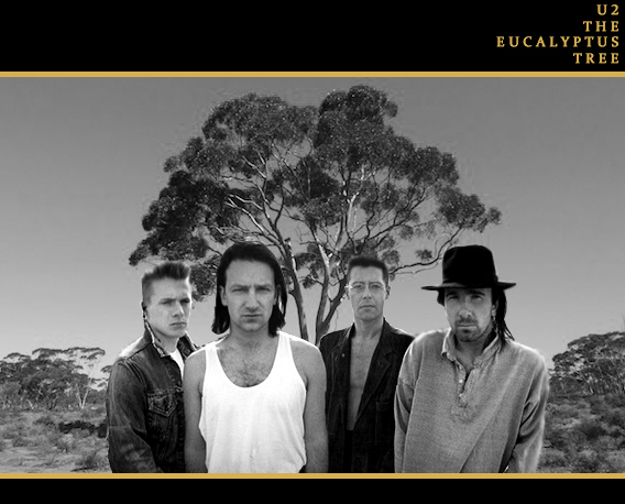 eucalyptus-gold copy