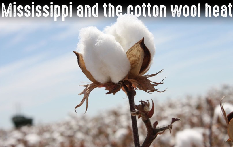cotton-copy