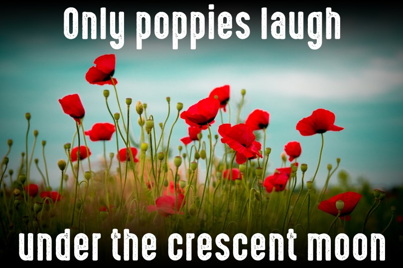 poppies-in-the-wind-copy
