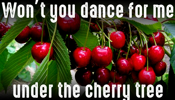 van-cherry-copy
